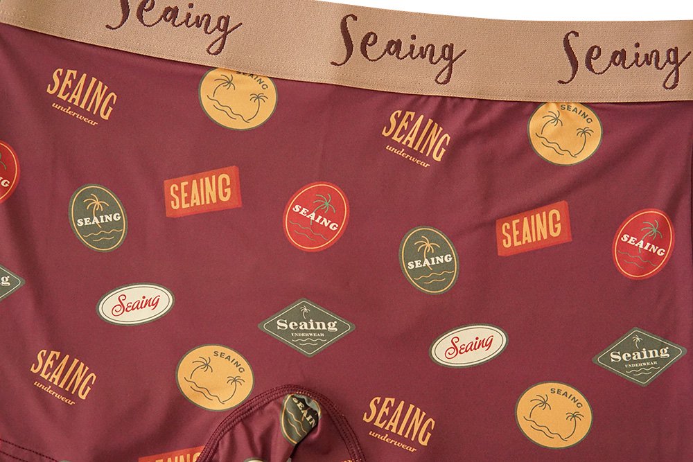 Seaing/OLD LOGO