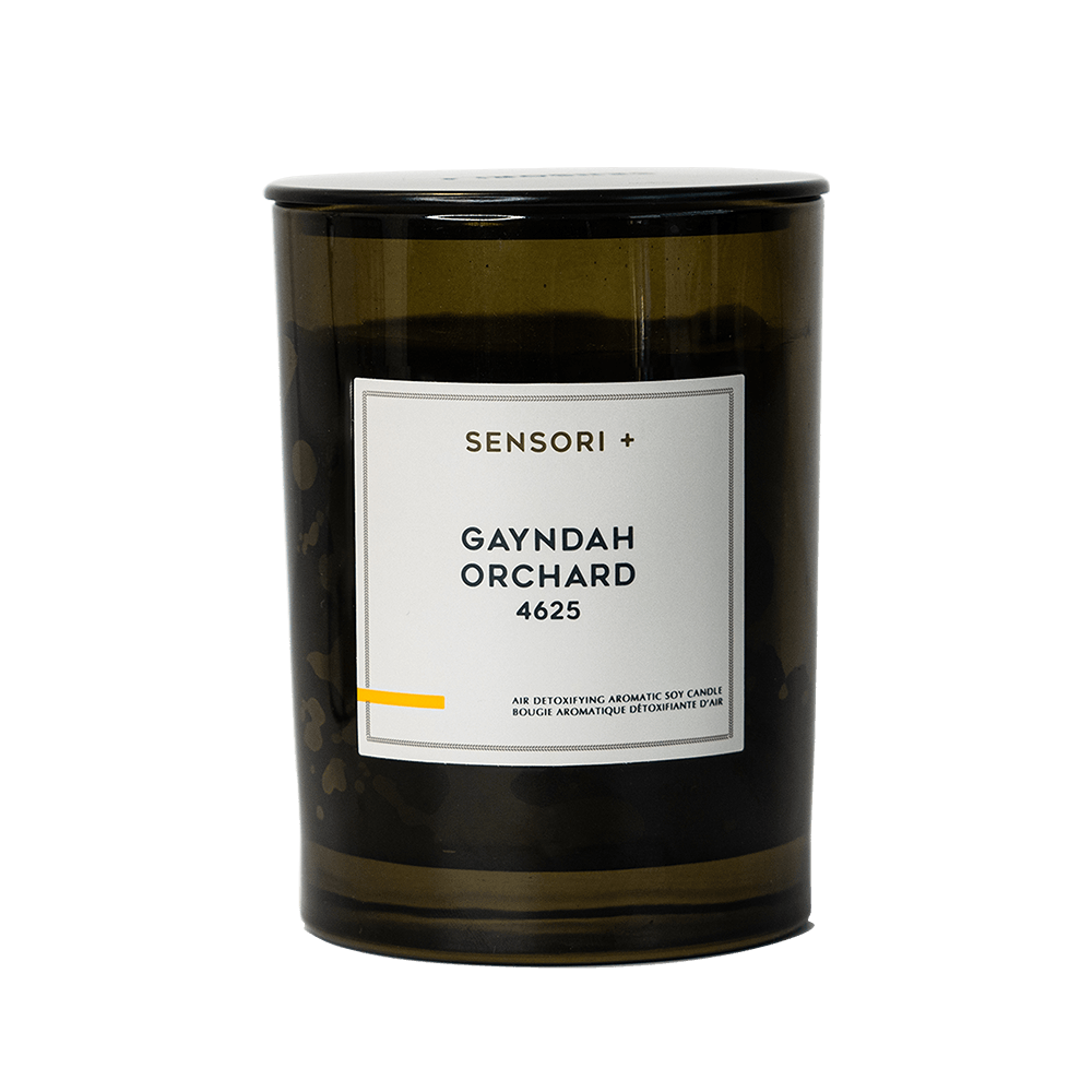 GAYNDAH ORCHARD 4625